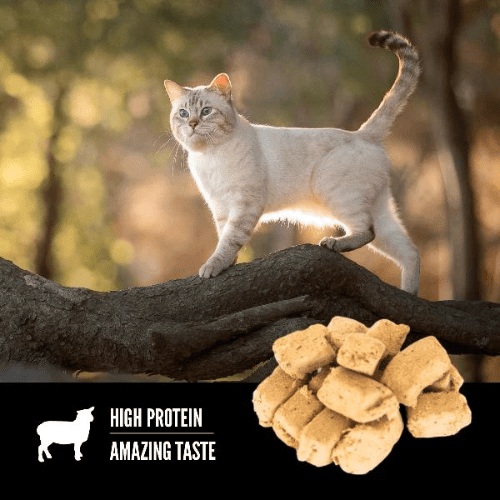 Freeze-Dried Cat Treats, Lamb Recipe - 35 g / 1.25 oz - J & J Pet Club - Orijen