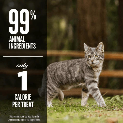 Freeze-Dried Cat Treats, Regional Red - 35 g / 1.25 oz - J & J Pet Club - Orijen