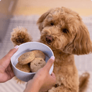 Freeze Dried Dog Food, Grass-Fed Beef Recipe Dinner Patties - J & J Pet Club - Open Farm