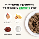 Freeze Dried Dog Food - Harvest Chicken Recipe Dinner Morsels - J & J Pet Club - Open Farm