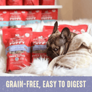 Freeze Dried Dog Food - Perfectly Puppy - Chicken & Salmon Recipe - Dinner Patties - J & J Pet Club - Stella & Chewy's