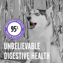 Freeze Dried Dog Food - RAWBBLE - Lamb Recipe - J & J Pet Club - BIXBI