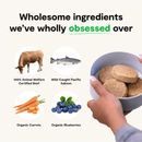 Freeze Dried Dog Food - Surf & Turf Recipe Dinner Patties - J & J Pet Club - Open Farm