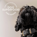 Freeze Dried Dog Food Topper - Lamb Green Tripe Booster - J & J Pet Club - K9 Natural