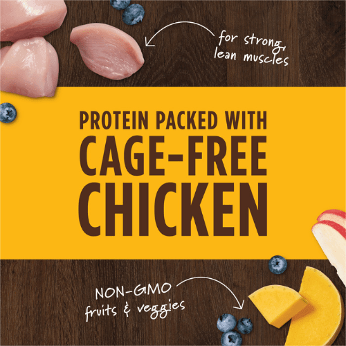 Freeze Dried Dog Food Topper - Raw Boost Mixers - Cage Free Chicken Recipe - J & J Pet Club - Instinct
