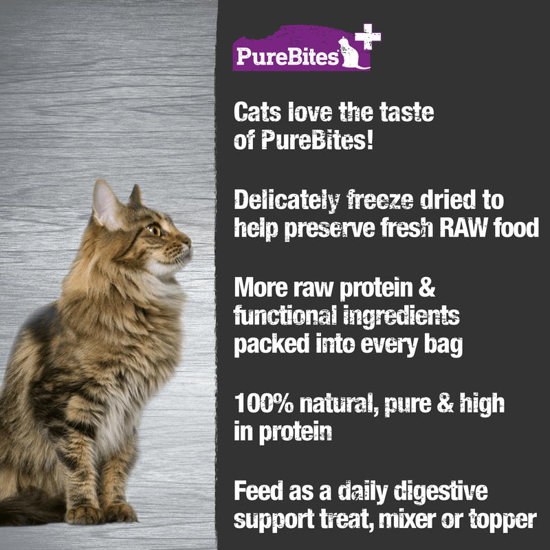 Freeze Dried Functional Cat Treat - Gut & Digestion - 1.09 oz - J & J Pet Club - Purebites