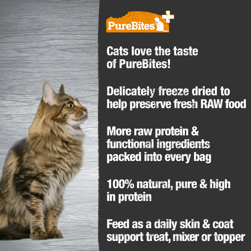 Freeze Dried Functional Cat Treat - Skin & Coat - 1.09 oz - J & J Pet Club - Purebites