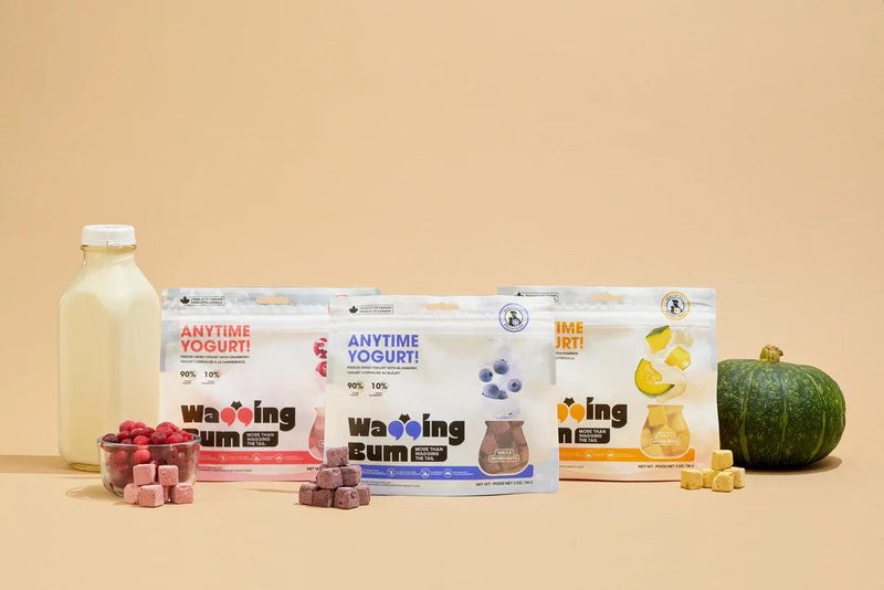 Freeze Dried Treat For Dogs & Cats - Greek Yogurt with Blueberry - 2 oz - J & J Pet Club - Wagging Bum
