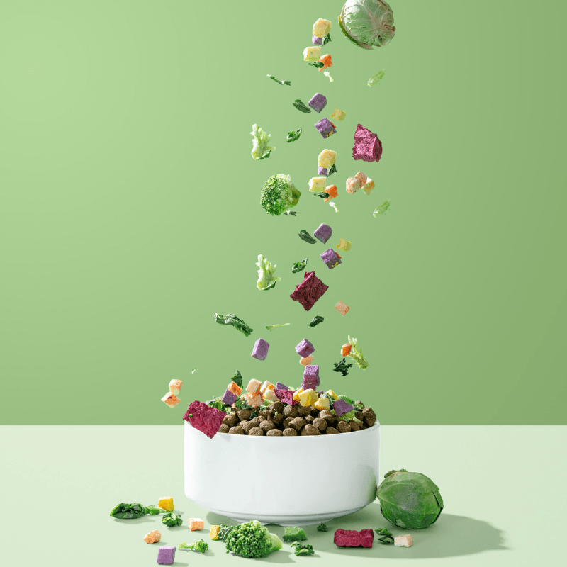 Freeze Dried Food Dog Cat Food Topper Daily Mixed Vegetable