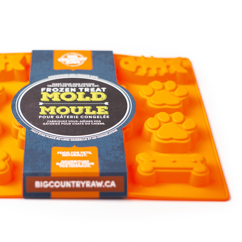 Frozen Treat Mold - Fish, Paw & Bone Shape - Large Orange - J & J Pet Club - Big Country Raw