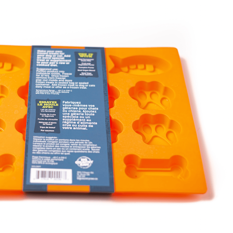 Frozen Treat Mold - Fish, Paw & Bone Shape - Large Orange - J & J Pet Club - Big Country Raw