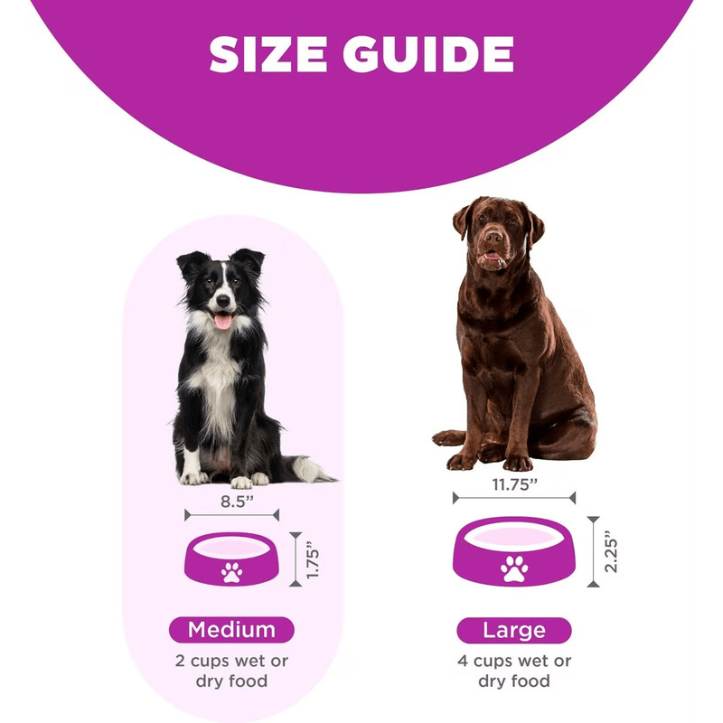 Fun Feeder Slo Bowl - Slow Feeder For Mini Dogs - Purple - J & J Pet Club - Outward Hound