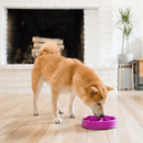 Fun Feeder Slo Bowl - Slow Feeder For Mini Dogs - Purple - J & J Pet Club - Outward Hound