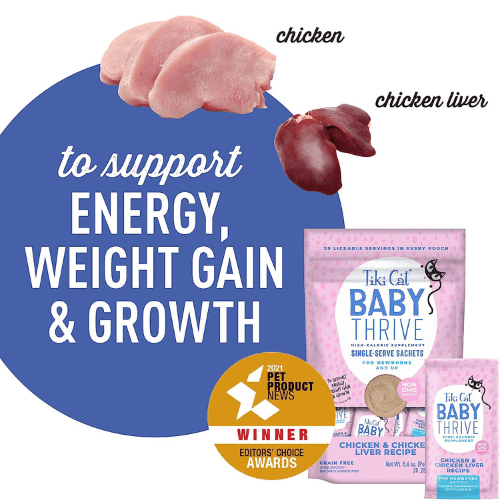 High Calorie Supplement For Kittens - BABY THRIVE - Chicken & Chicken Liver Recipe - 0.28 oz sachet, pack of 20 - J & J Pet Club - Tiki Cat