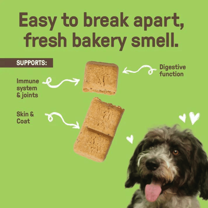 Human Grade Organic Dog Biscuit - Banana & Coconut - 300 g - J & J Pet Club - COOKIE PAL