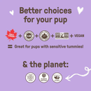 Human Grade Organic Dog Biscuit - Peanut Butter - 300 g - J & J Pet Club - COOKIE PAL