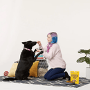 Human Grade Organic Dog Biscuit - Peanut Butter - 300 g - J & J Pet Club - COOKIE PAL