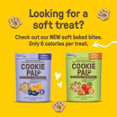 Human Grade Organic Dog Biscuit - Pumpkin & Chia - 300 g - J & J Pet Club - COOKIE PAL