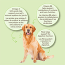 Human Grade Organic Dog Biscuit - Pumpkin & Chia - 300 g - J & J Pet Club - COOKIE PAL