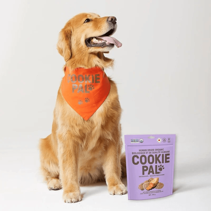 Human Grade Organic Dog Biscuit - Sweet Potato & Flaxseed - 300 g - J & J Pet Club - COOKIE PAL