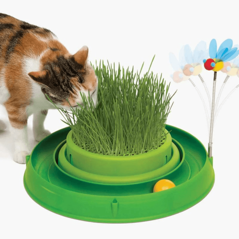 Interactive Cat Toy - Circuit Ball Toy with Cat Grass - J & J Pet Club - Catit