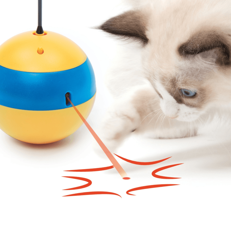 Interactive Cat Toy - Play Spinning Bee - J & J Pet Club - Catit