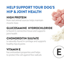 Jerky Dog Treat - HIP & JOINT - Duck Recipe - 10 oz - J & J Pet Club - DOGSWELL