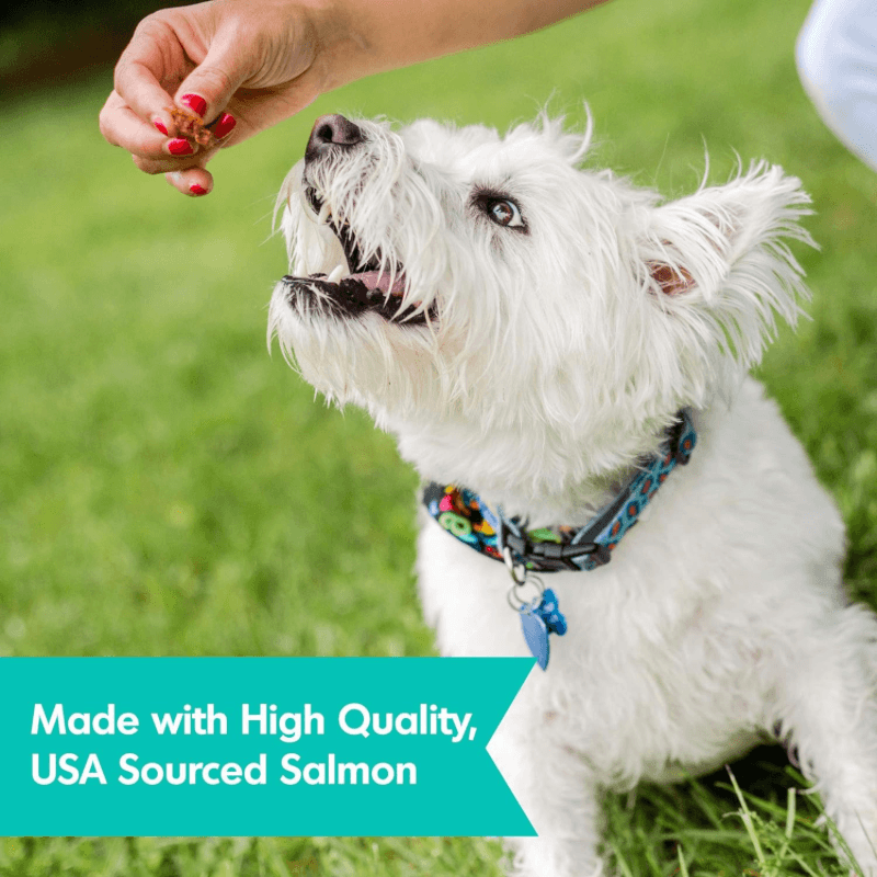 Jerky Dog Treat - SKIN & COAT - Salmon Recipe - 10 oz - J & J Pet Club - DOGSWELL