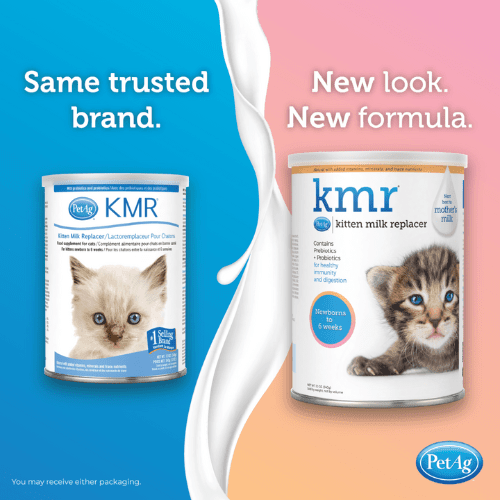 Kitten Milk Replacer Powder - KMR - Cat Newborn Nutrition - J & J Pet Club - PetAg