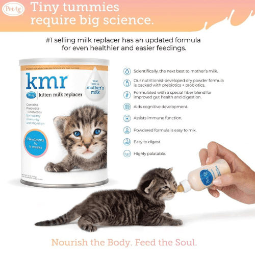 Kitten milk replacer sales canada