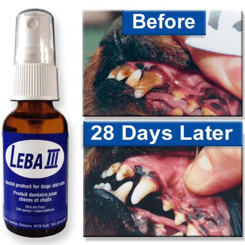 LEBA 3 Dental Spray For Dogs & Cats - 1 oz - J & J Pet Club - Leba