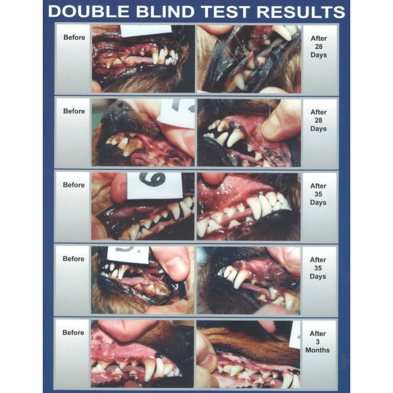 Leba Iii Dental Spray 1 Oz