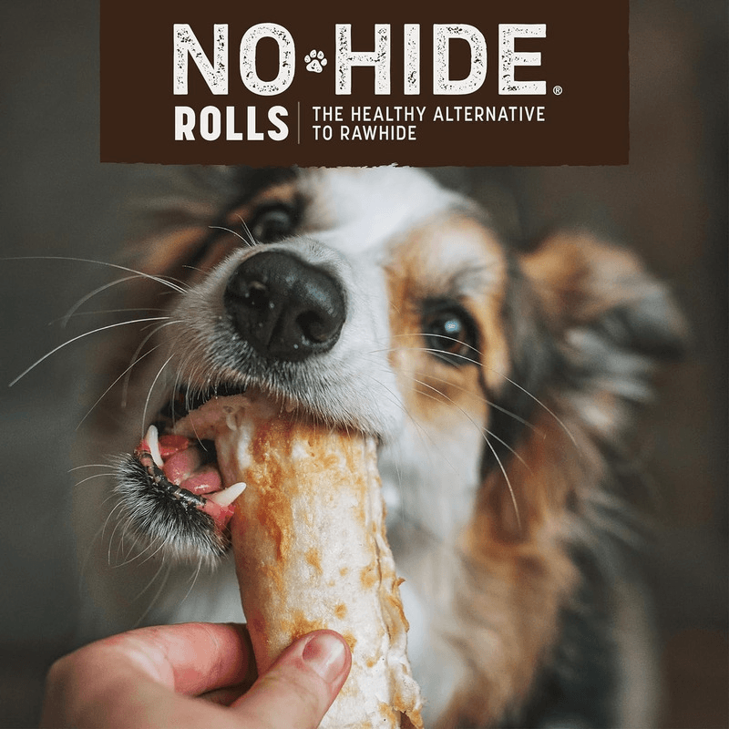 Long Lasting Dog Chews, NO-HIDE, Peanut Butter Recipe Small Rolls - 2.4 oz, pack of 2 - J & J Pet Club - Earth Animal