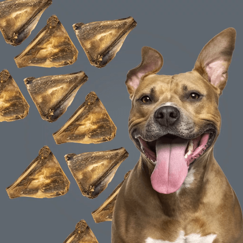 Natural Dog Chews - Bucky Chucky (Venison Scapula Bone) - 1 pc - J & J Pet Club - Roam Pet Treats