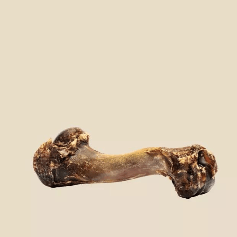 Natural Dog Chews - Bucky Funny Bone (Venison Humerus Bone) - 1 pc - J & J Pet Club - Roam Pet Treats