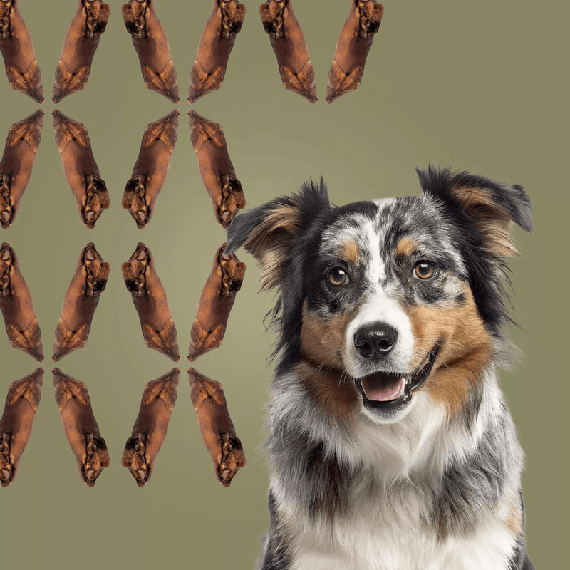 Natural Dog Chews - Bucky Hoof (Venison Bone) - 1 pc - J & J Pet Club - Roam Pet Treats
