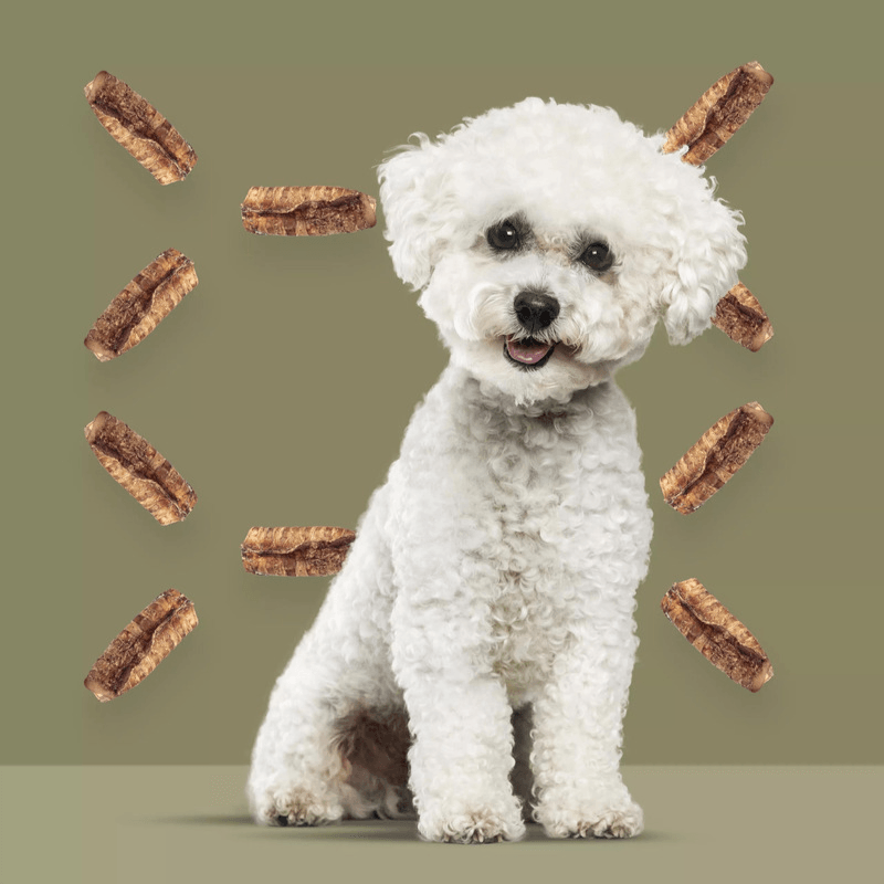 Natural Dog Chews - Bucky Trachs (Venison Tracheas) - 1 pc - J & J Pet Club - Roam Pet Treats