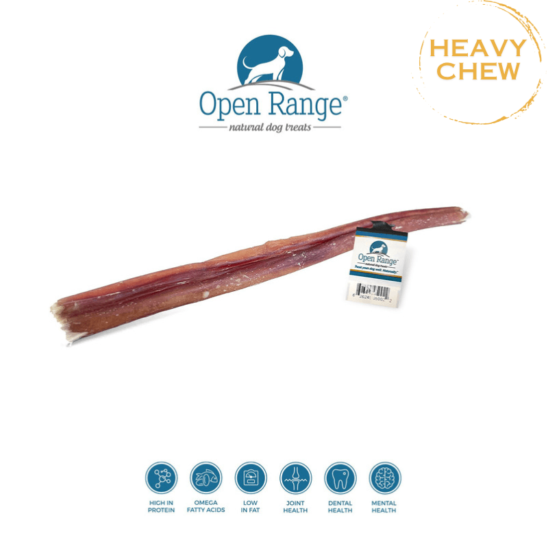 Open Range Natural Bully Stick 12 J J Pet Club