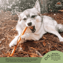 Natural Dog Chews - Collagen Stick - 1 pc (Bulk) - J & J Pet Club - Redbarn