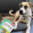 Natural Dog Chews - OCEAN CHEWS - Hearty Wolffish Skins - J & J Pet Club - The Honest Kitchen