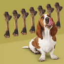 Natural Dog Chews - Roo Chopper (Kangaroo Femur Bone) - 1 pc - J & J Pet Club - Roam Pet Treats