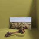 Natural Dog Chews - Roo Chopper (Kangaroo Femur Bone) - 1 pc - J & J Pet Club - Roam Pet Treats