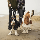 Natural Dog Chews - Roo Chopper (Kangaroo Femur Bone) - 1 pc - J & J Pet Club - Roam Pet Treats