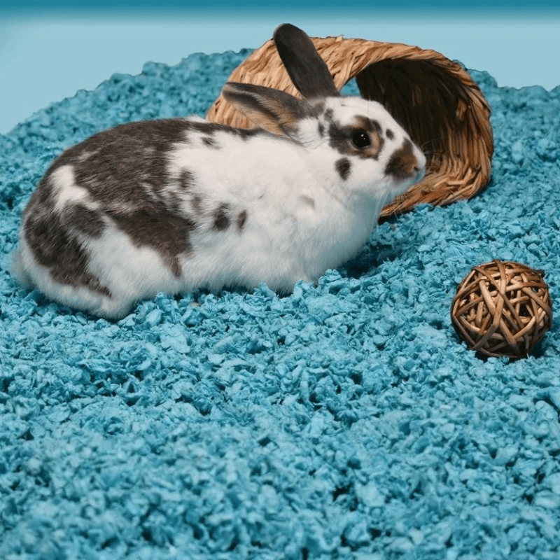 Natural Small Pet Bedding - Blue - J & J Pet Club