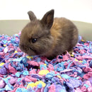 Natural Small Pet Bedding - Confetti - J & J Pet Club - Carefresh