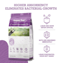 Non-Clumping Crystal Cat Litter, Lavender - J & J Pet Club - Snappy Tom