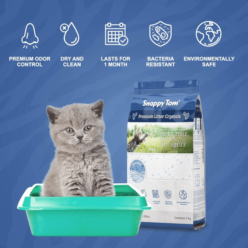 Non-Clumping Crystal Cat Litter, Unscented - J & J Pet Club - Snappy Tom