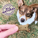 Oven Baked Dog Biscuits - Original Mix - Small - J & J Pet Club - OLD MOTHER HUBBARD