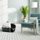 Pet Carrier - Trotter 3 for Pets up to 10 kg - Anthracite (Airline Approved) - J & J Pet Club - Savic