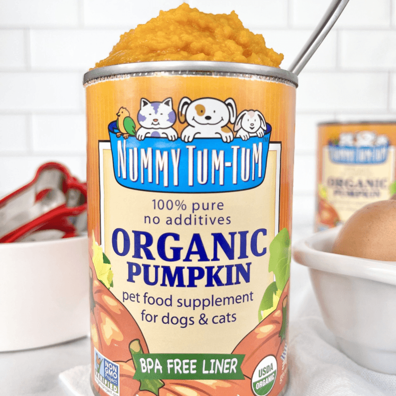Pet Food Supplement - 100% Pure Organic Pumpkin For Dogs & Cats - 15 oz - J & J Pet Club - NUMMY TUM-TUM